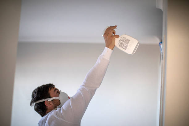 Best Commercial Mold Removal  in Hereford, TX