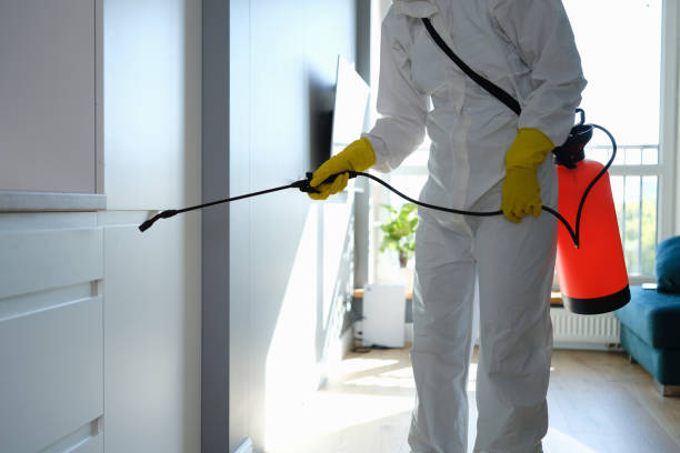 Office Mold Removal Services in Hereford, TX