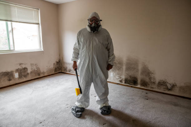 Best Emergency Mold Removal  in Hereford, TX